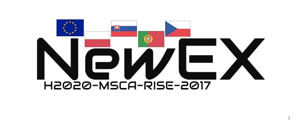 logo-newex.jpg